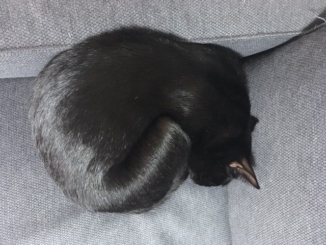 2018-06-20 20.23.29