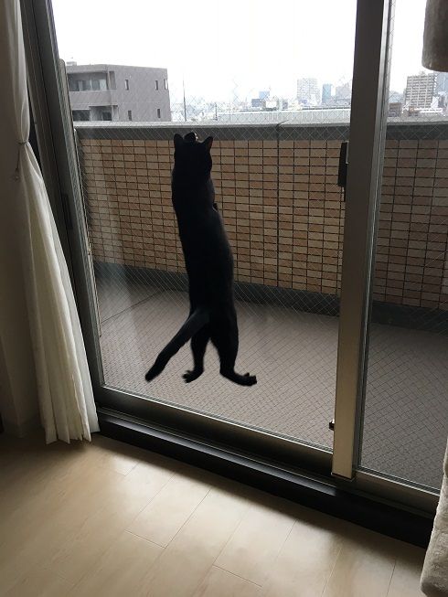 27