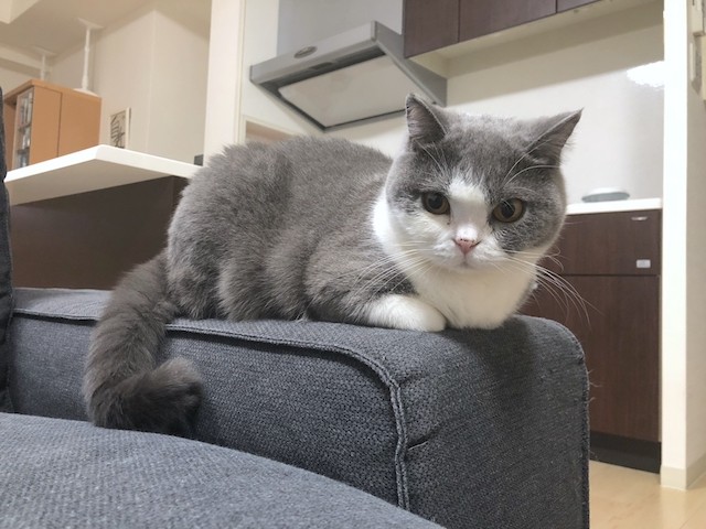 2018-10-27 21.37.53