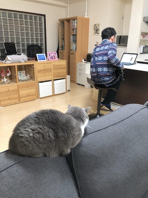 2018-12-12 20.37.06