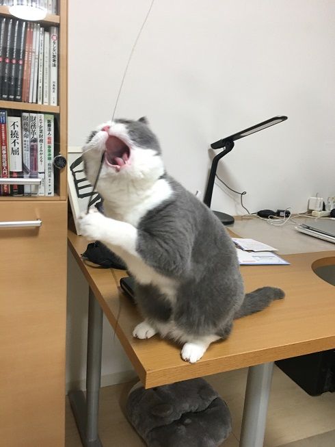47