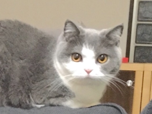 2018-06-06 12.54.56