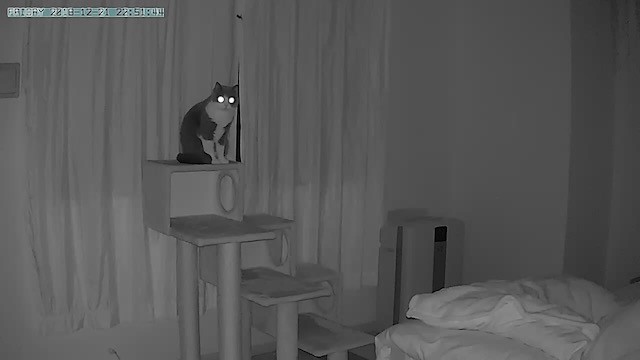2018-12-21 22.51.51