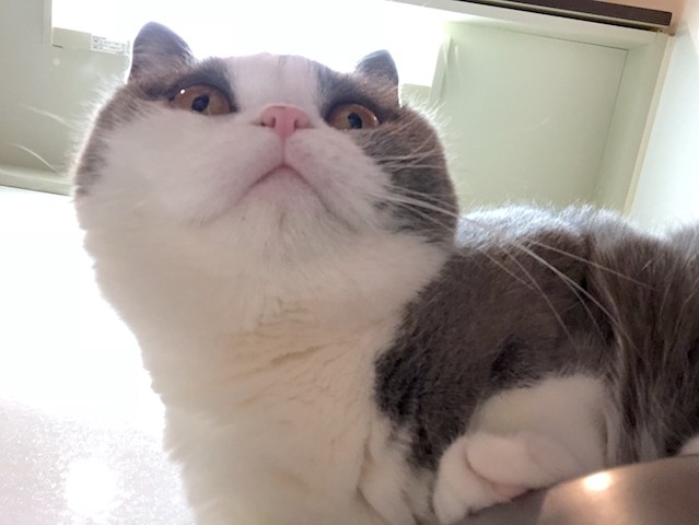 27