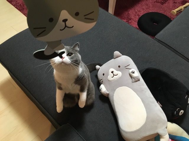 00