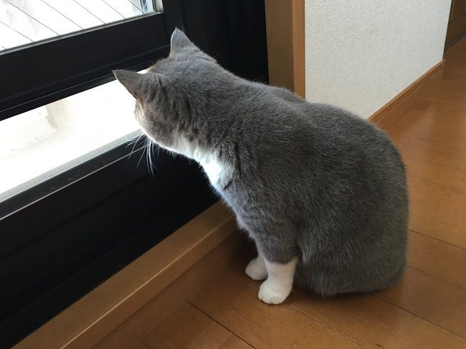 00