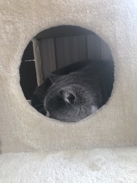 2019-07-23 16.49.28