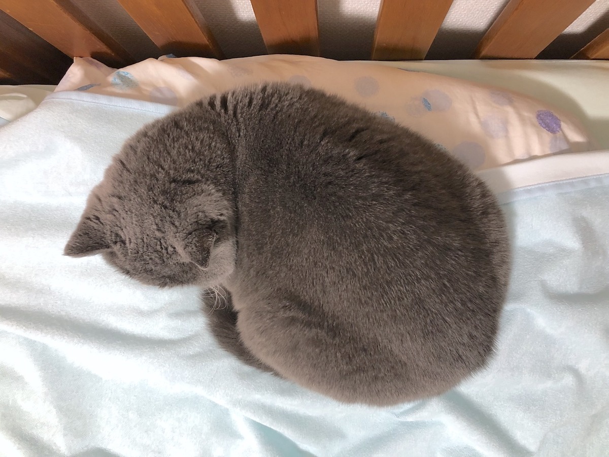 2019-11-04 17.10.48-1