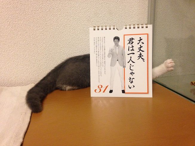 54