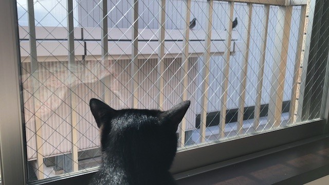2019-05-06 07.36.44-1