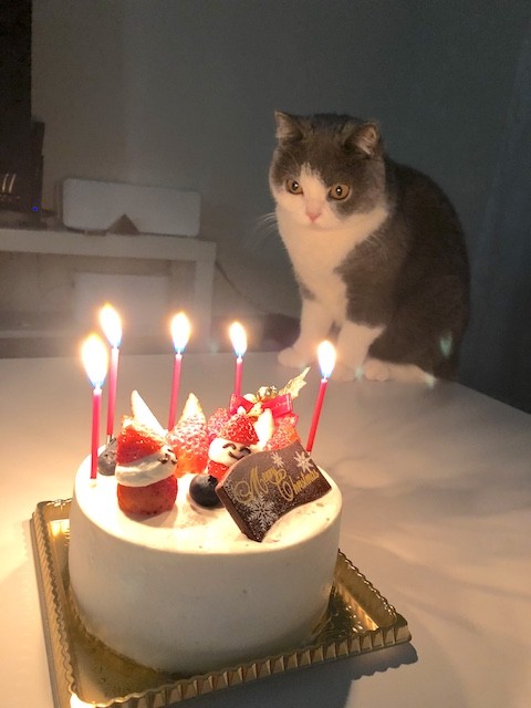 34