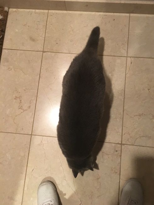 19