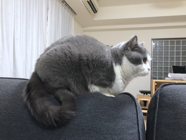 2019-03-10 19.19.42