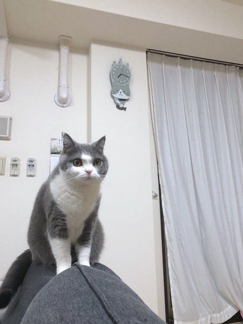 2019-03-10 19.17.23