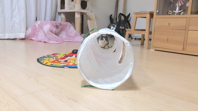 2019-01-17 20.48.31