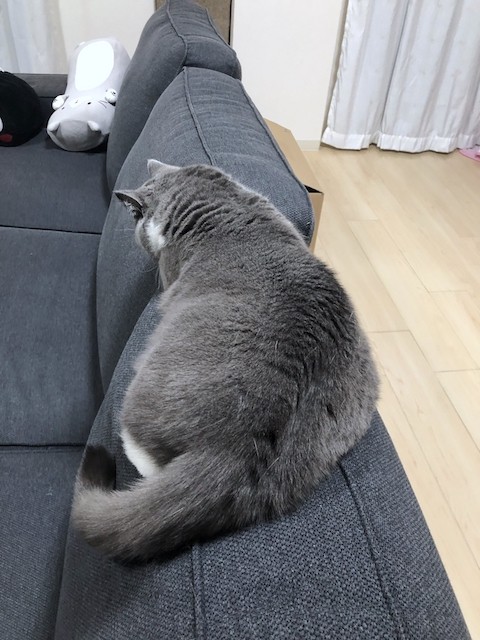 2019-03-04 23.37.51