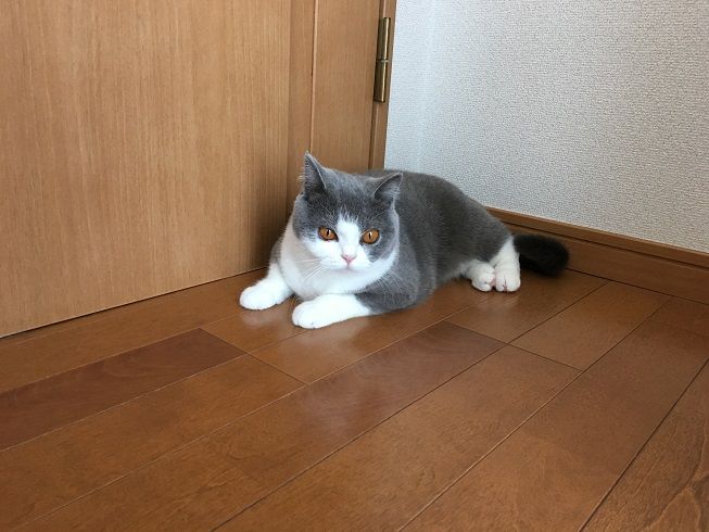 57