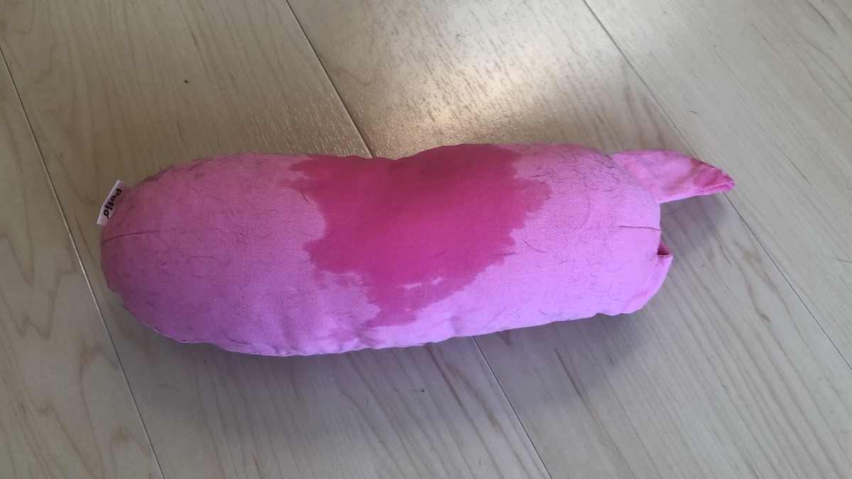 2019-09-14 11.40.50