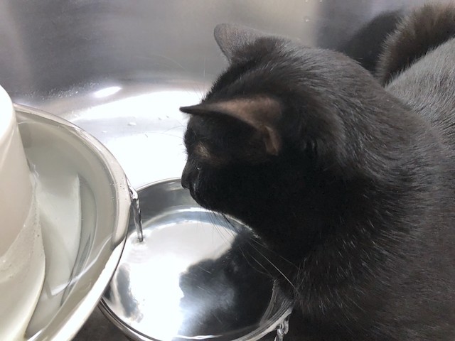 2018-08-06 20.37.27