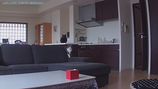 2018-12-22 14.57.53