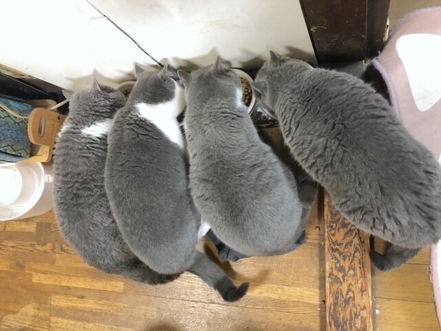 image0