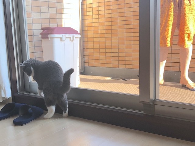 2019-08-11 07.47.54
