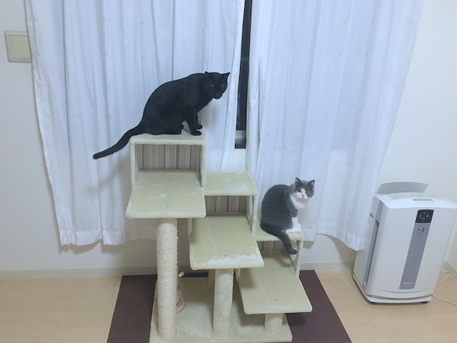 2018-10-07 23.36.45-1