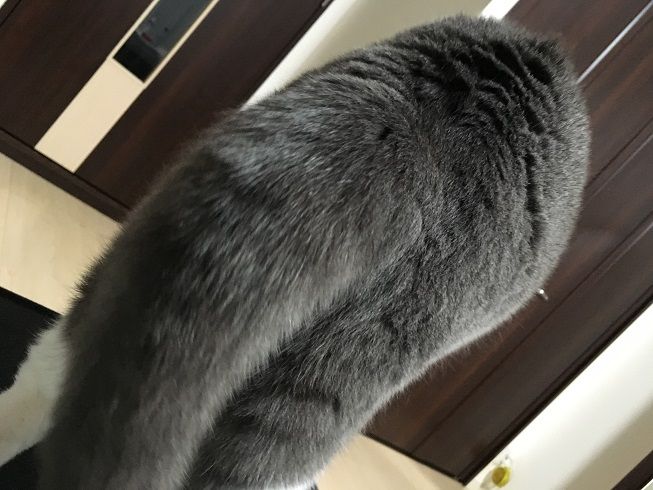 59