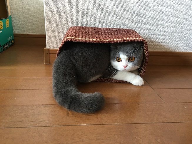 00