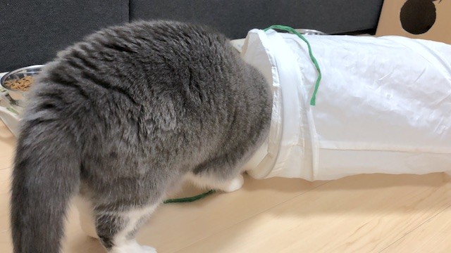 2019-02-27 20.48.13