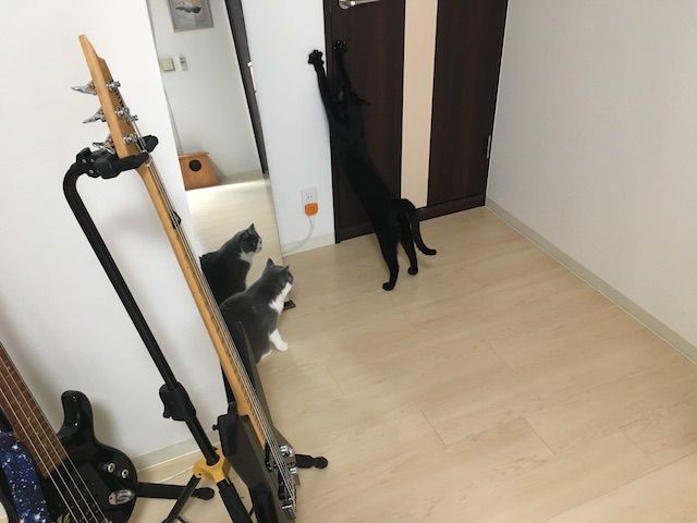 37