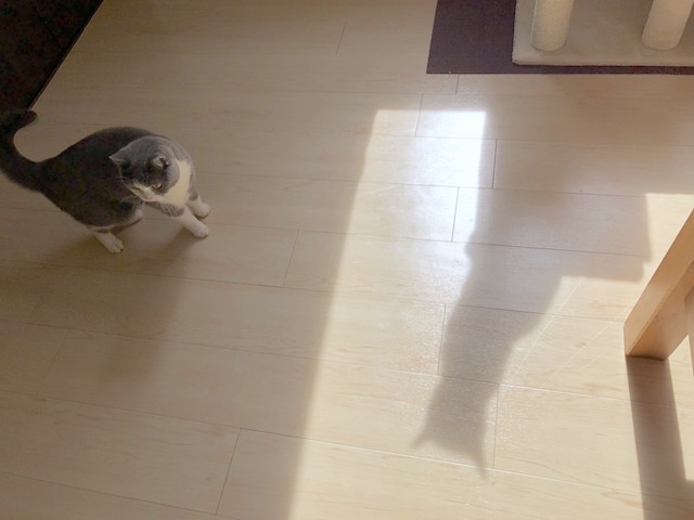 2018-06-30 08.58.04