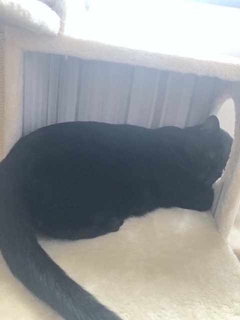 2019-07-23 16.49.46