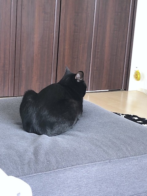 2019-07-14 13.48.12