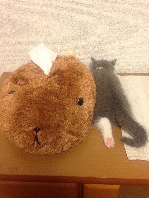 07