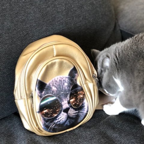23