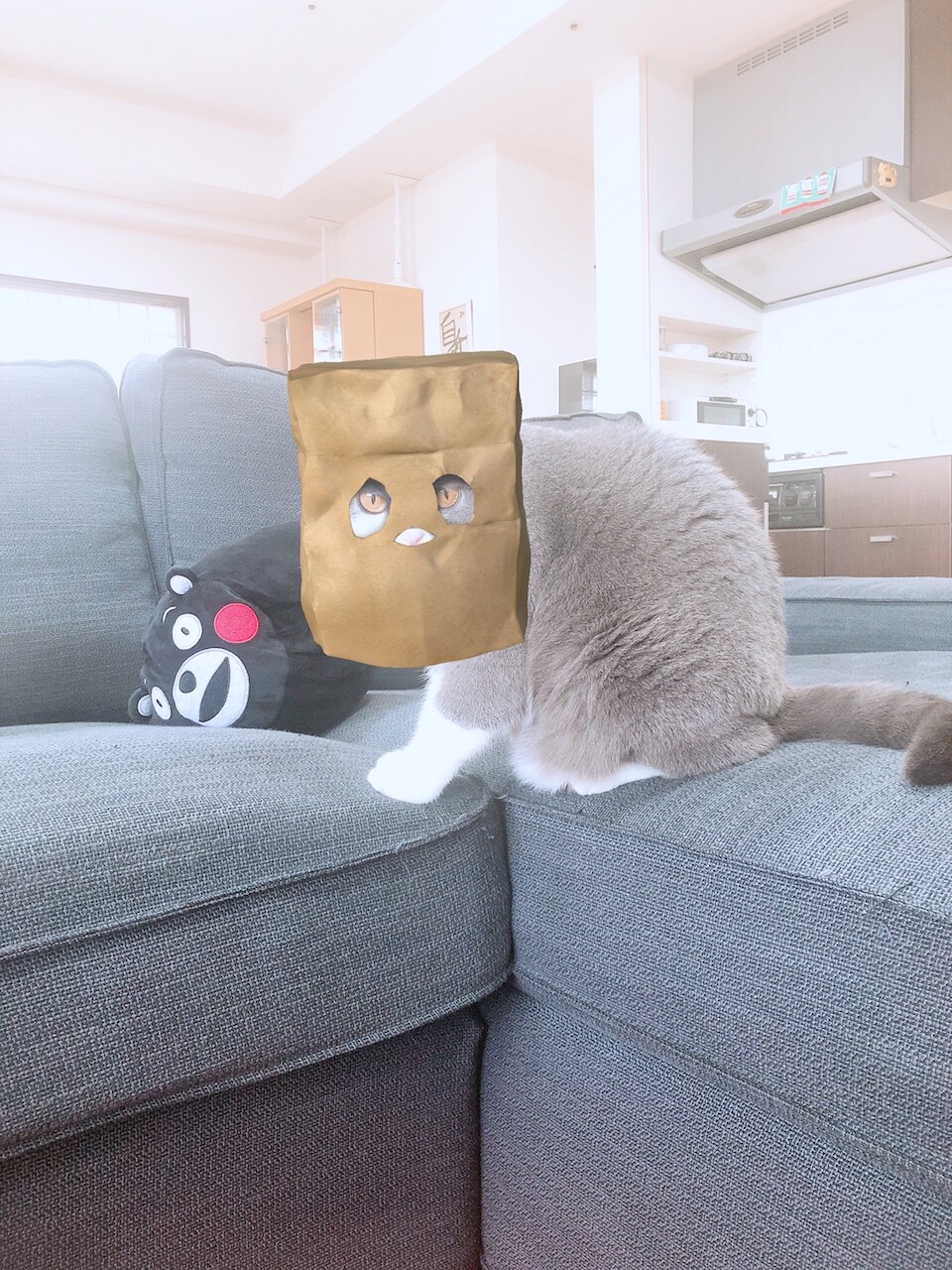 2019-12-03 15.40.49のコピー