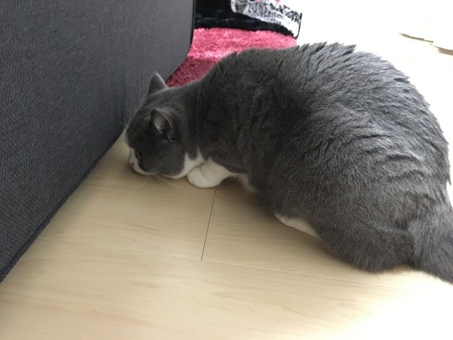 09