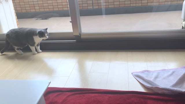 2019-07-16 13.37.43-1