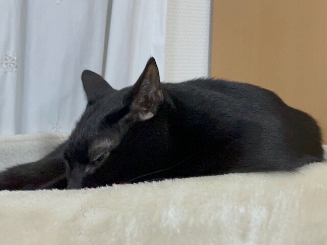 2024-04-03 19.42.19-1