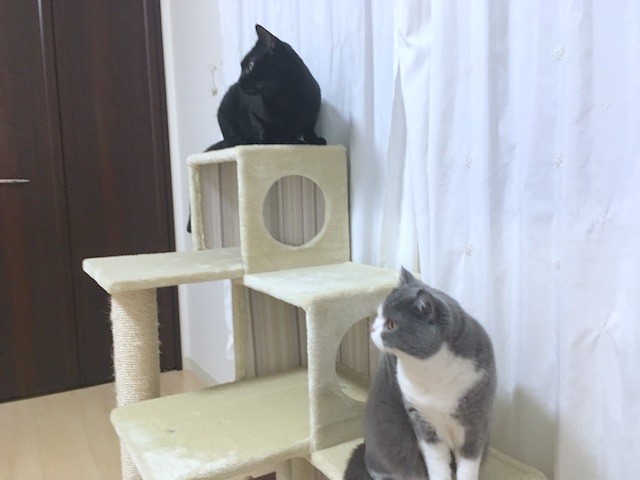 2018-10-07 23.37.11