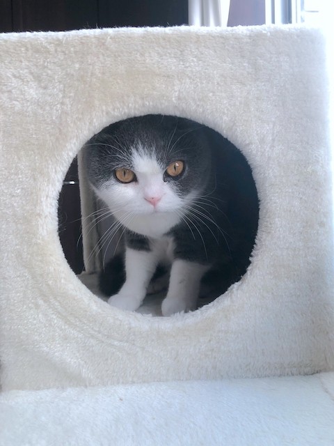2019-05-20 00.07.57