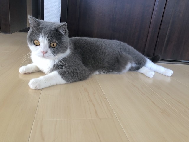2019-08-11 07.21.48