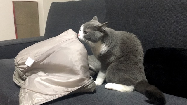 00