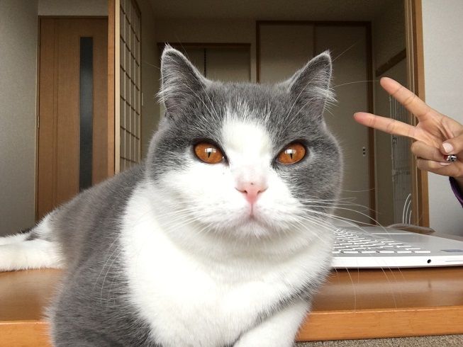 26