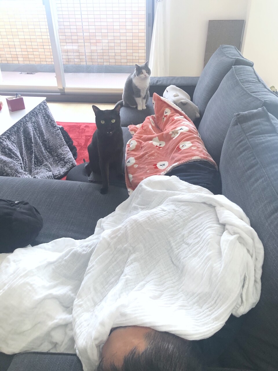 2019-12-07 12.32.55