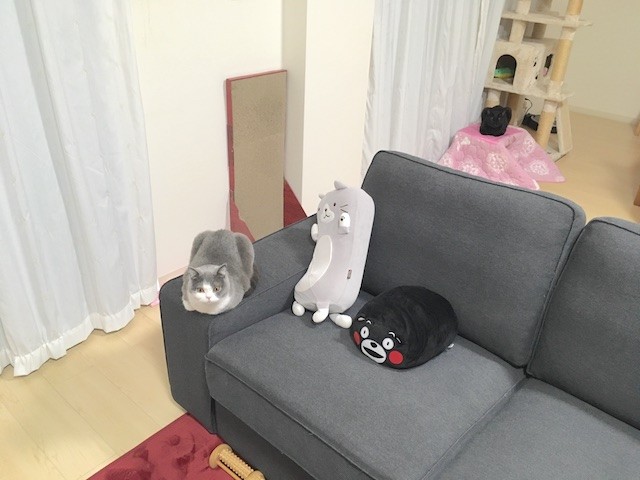 21