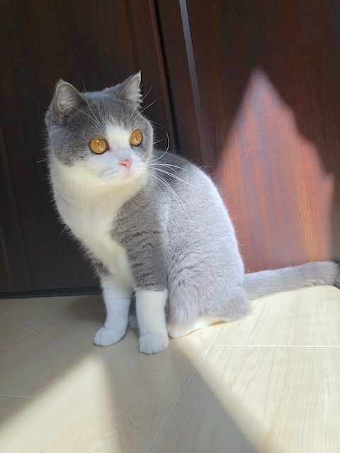 2019-03-05 10.46.14 HDR