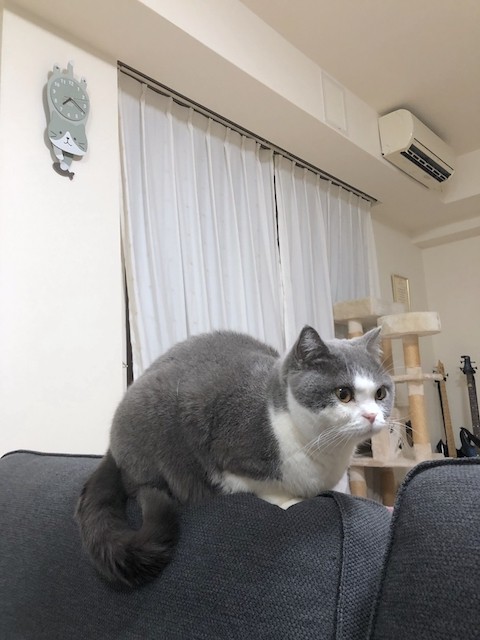 2019-03-10 19.19.32