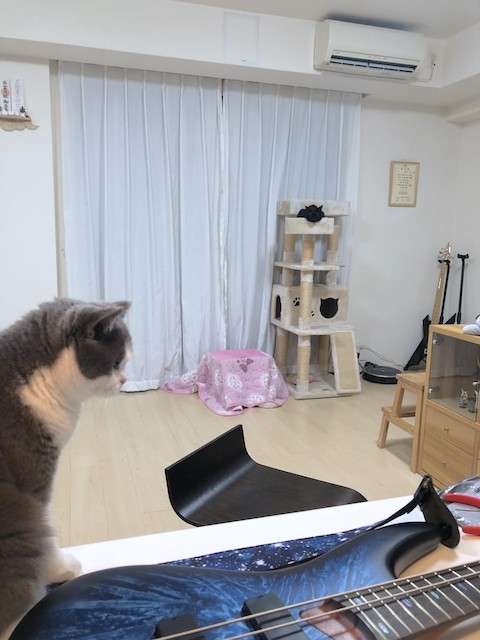 2019-02-04 22.03.41